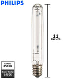 Philips - 411082 - BulbAmerica