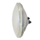 BulbAmerica - FAY*12 - BulbAmerica