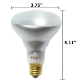 Bulbamerica - 42BR30FL-130-S - BulbAmerica