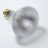 BulbAmerica 42W 130V BR30 Flood Halogen Bulb - 60w incand. equiv. - BulbAmerica