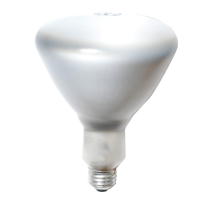 GE 120W BR40 120V Floodlight Reflector Shatter Resistant Bulb