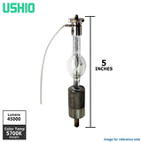 USHIO 600W EmArc SMH-600/D1 8.8A Scientific Medical Light Bulb - BulbAmerica