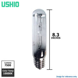 USHIO 175w UHI-S175AQ/14 AQUALITE metal halide bulb - BulbAmerica