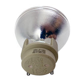 BulbAmerica - 55069-BULB_41 - BulbAmerica