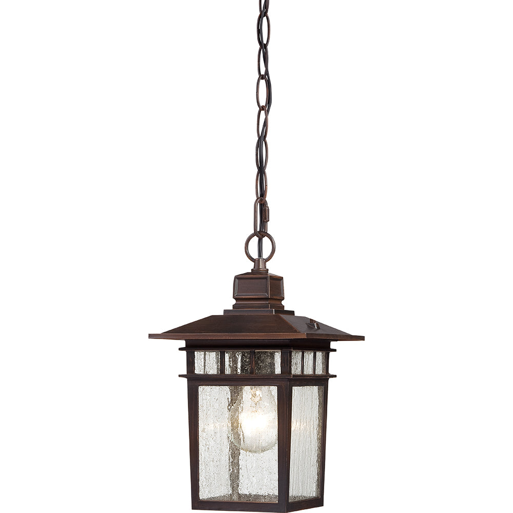 Nuvo Cove Neck 1-Light 12" Hanging Light w/ Clear Seeded Glass in Rustic Bronze