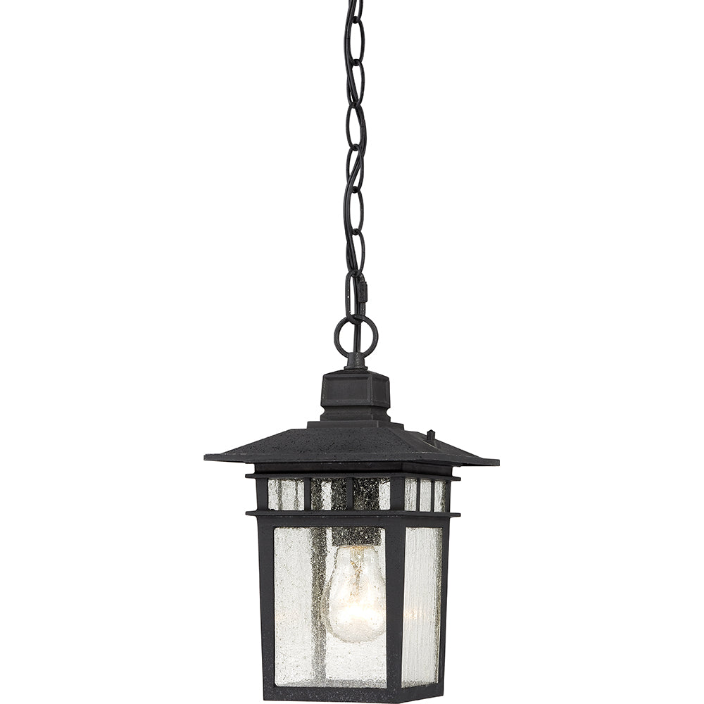 Nuvo Cove Neck 1-Light 12" Hanging Light w/ Clear Seeded Glass in Textured Black