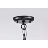 Stillwell Outdoor 14-in Hanging Light Matte Black Finish w/ Clear Water Glass_1