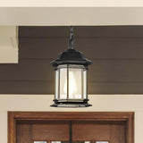 Hopkins Outdoor 12-in Hanging Lantern Matte Black Finish w/ Clear Glass_7