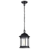 Hopkins Outdoor 12-in Hanging Lantern Matte Black Finish w/ Clear Glass