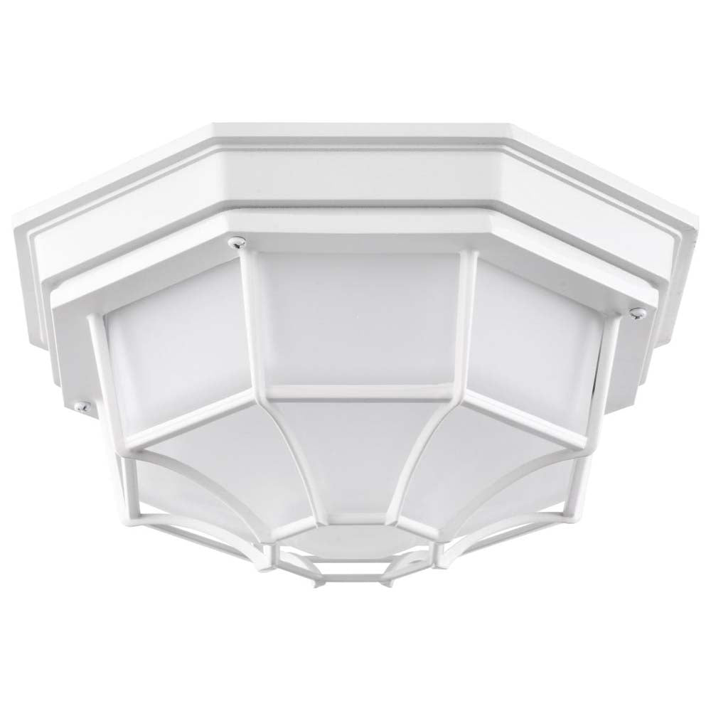 LED Spider Cage Fixture White Finish w/ Frosted Glass