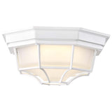 LED Spider Cage Fixture White Finish w/ Frosted Glass_1