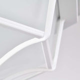 LED Spider Cage Fixture White Finish w/ Frosted Glass_3