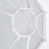 LED Spider Cage Fixture White Finish w/ Frosted Glass_4