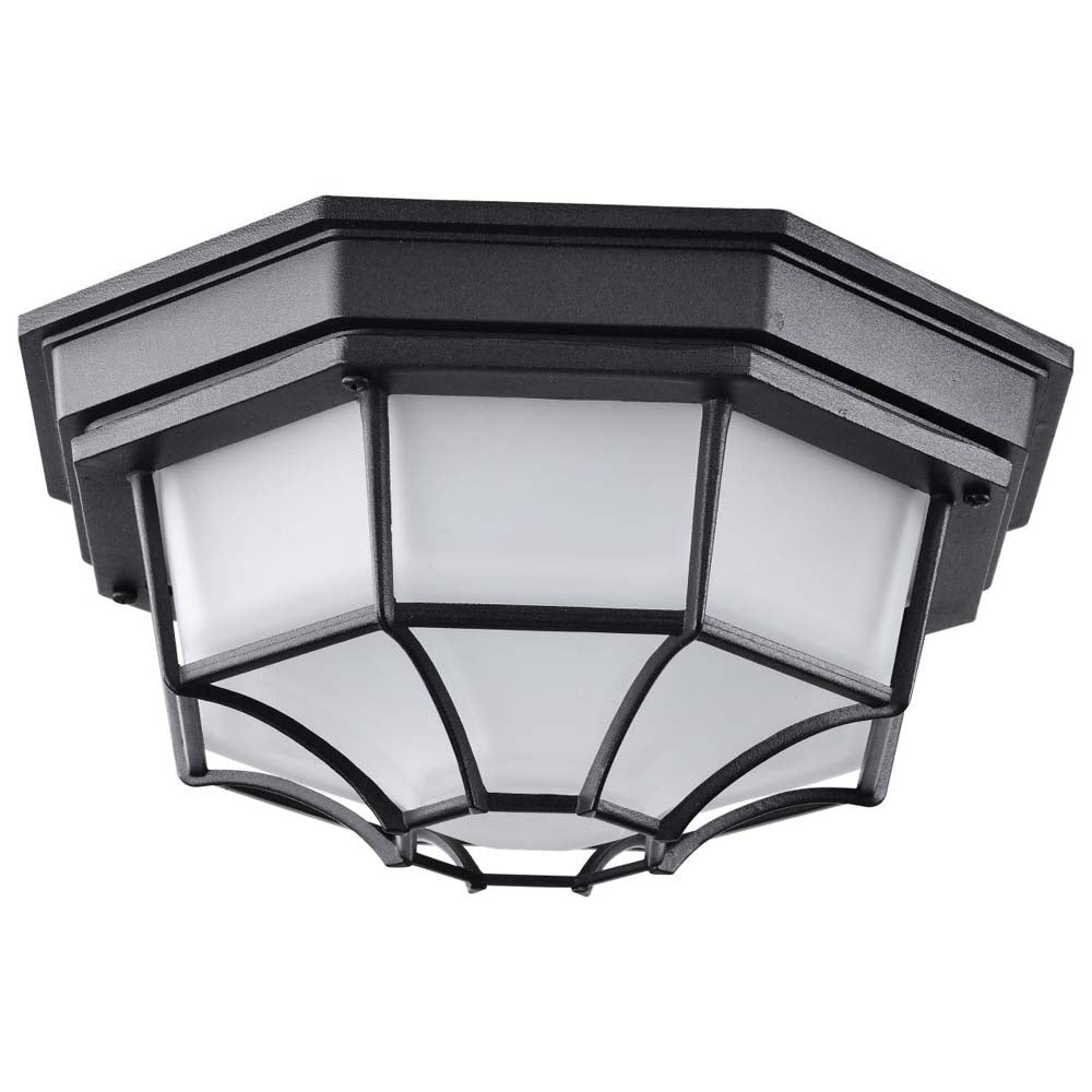 LED Spider Cage Fixture Black Finish w/ Frosted Glass