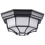LED Spider Cage Fixture Black Finish w/ Frosted Glass - BulbAmerica