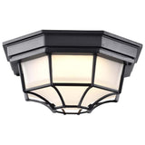 LED Spider Cage Fixture Black Finish w/ Frosted Glass_1
