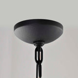 East River Smart Outdoor Hanging Light Starfish RGBTW CCT in Black Finish - BulbAmerica