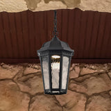 East River Smart Outdoor Hanging Light Starfish RGBTW CCT in Black Finish_3