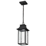 Austen 10w Smart Outdoor Hanging Light Starfish RGBTW CCT in Black Finish