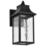 Austen 10w Smart Outdoor Wall Light Starfish RGBTW CCT in Black Finish