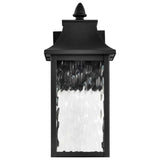 Austen 10w Smart Outdoor Wall Light Starfish RGBTW CCT in Black Finish - BulbAmerica
