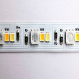 64-ft Starfish Tape RGBTW-Ho IP20 Plug 20w 24v_2