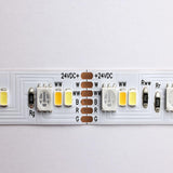 16-ft Starfish Tape RGBTW-Ho IP20 Jbox 30w 24v_1