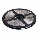 32-ft Starfish Tape RGBTW-Ho IP20 Jbox 68w 24v - BulbAmerica