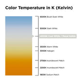 SYLVANIA - 64836 - BulbAmerica