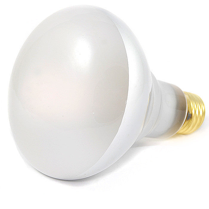 PLATINUM 65w BR30 FL 120V Medium Base incandescent light bulb