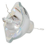 BulbAmerica - 69083-BULB_7 - BulbAmerica