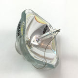 BulbAmerica - 69115-BULB_61 - BulbAmerica
