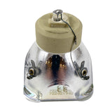 BulbAmerica - 69572-BULB_63 - BulbAmerica