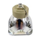 OSRAM - 69572-BULB - BulbAmerica