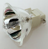 Acer - 69615-BULB_21 - BulbAmerica