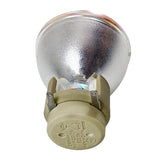 Acer - 69806-BULB_5 - BulbAmerica
