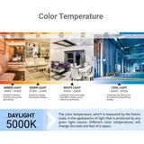 Sunlite 4.5w LED B11 Frosted Torpedo Tip Chandelier E12 5000K Bulb - 40W Equiv_3