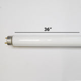 GE F30T8 30 watt 36in T8 Cool White Starcoat fluorescent bulb - BulbAmerica