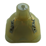 Roly RP-L7000X - Genuine OEM Philips projector bare bulb replacement - BulbAmerica