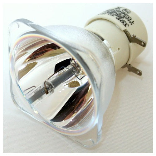 BenQ 5J.J7C05.001 - Genuine OEM Philips projector bare bulb replacement