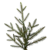 Vickerman - A110355 - BulbAmerica