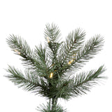 Vickerman - A118296LED - BulbAmerica