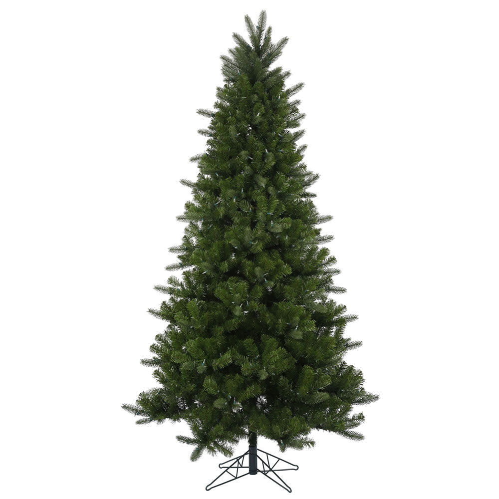 75Ft. Ogden Fir tree 1408 PE/PVC tips 600 warm white LED lights