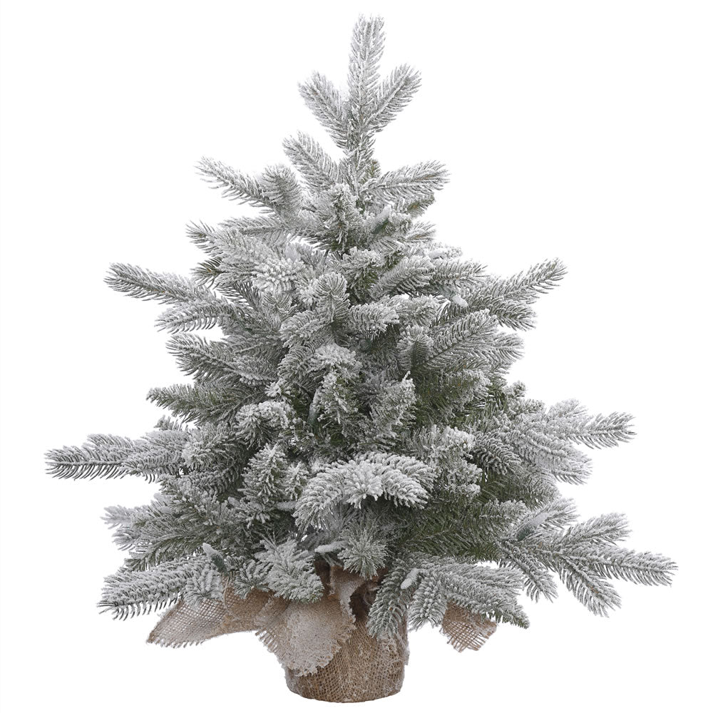 18in. x 14in. Frosted Sable Pine Christmas tree 46 frosted PE/PVC tips
