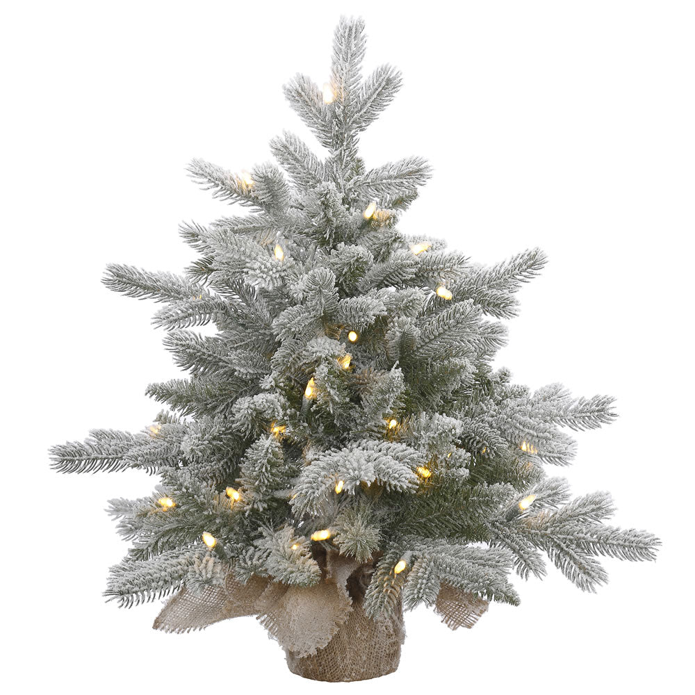 24in. Frosted Sable Pine tree 106 frosted PE/PVC tips 50 clear Dura-lit lights