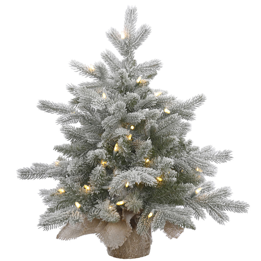24in. Frosted Sable Pine tree 106 frosted PE/PVC tips 50 warm white LED lights