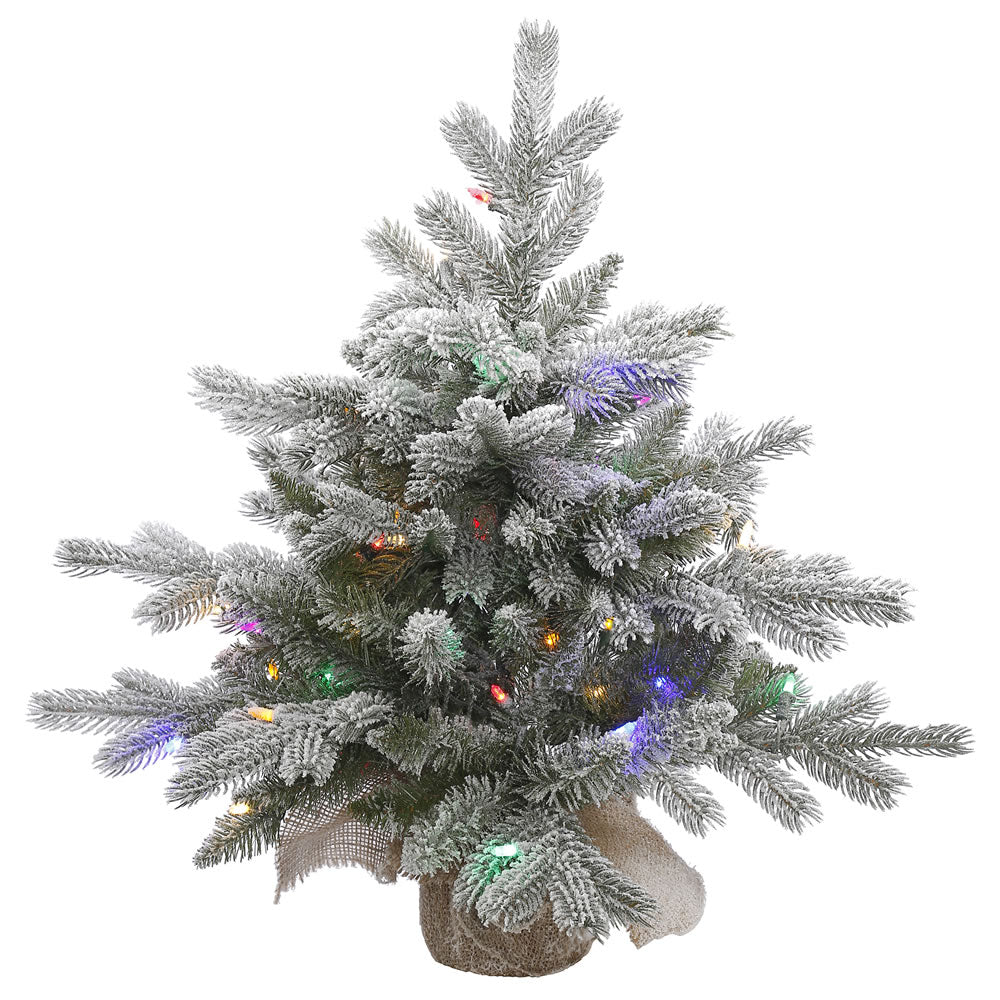24in. Frosted Sable Pine tree 106 frosted PE/PVC tips 50 multi LED lights
