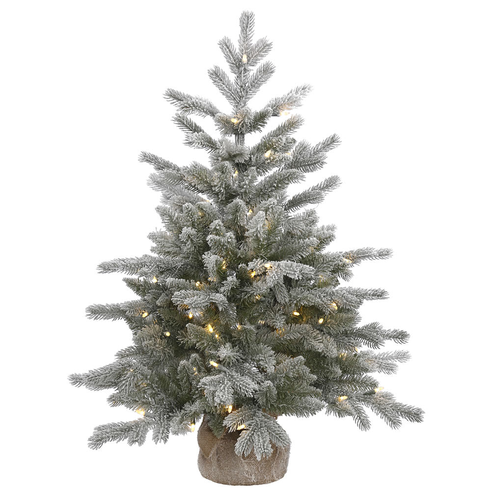 36in. Frosted Sable Pine tree 206 frosted PE/PVC tips 100 clear Dura-lit lights