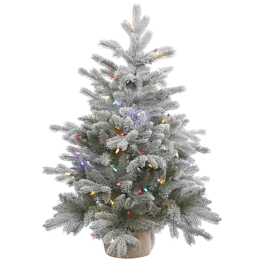 36in. Frosted Sable Pine tree 206 frosted PE/PVC tips 100 multi LED lights