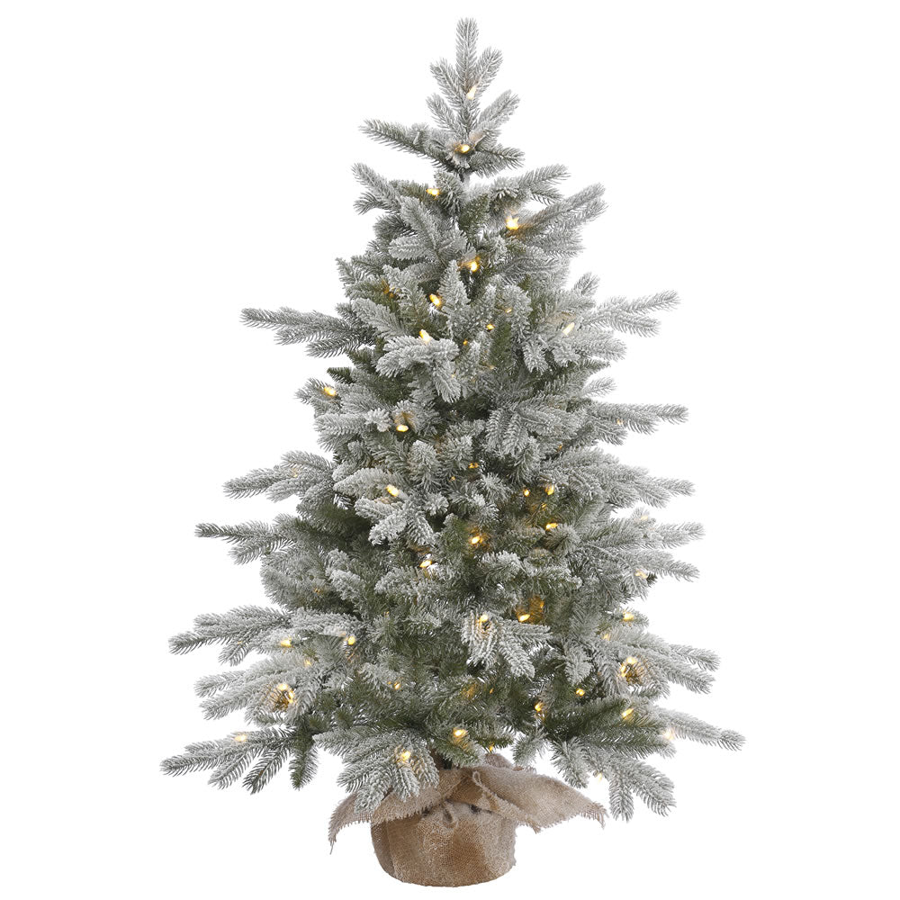 48in. Frosted Sable Pine tree 316 Frosted PE/PVC tips 100 warm white LED lights